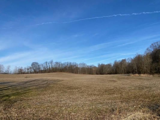 0 0 KINGS CORNERS RD E AND 0 MAXWELL RD, LEXINGTON, OH 44904 - Image 1